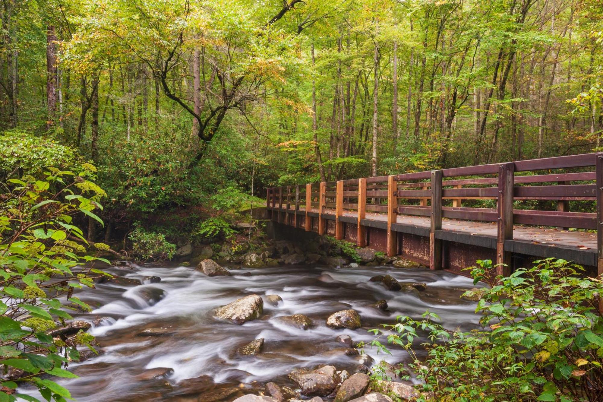 Breathtaking View, Hot Tub, 1089 Of Free Attraction Tickets For Each Paid Day, Dollywood And More! Sevierville Buitenkant foto